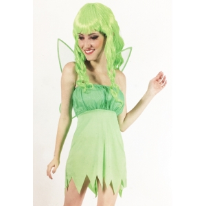 Green Fairy Costume - Womens Fairy Costumes